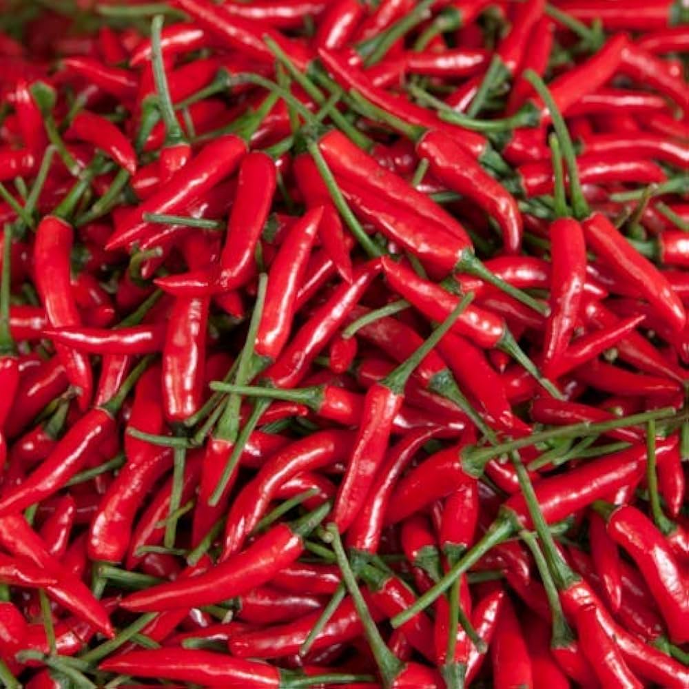 Ring of Fire Pepper - for planting in home garden